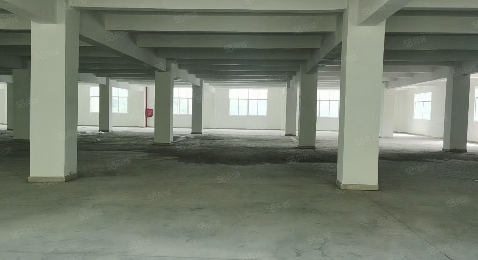 原房东独栋全新厂房可整租分租证件齐全地理位置优越