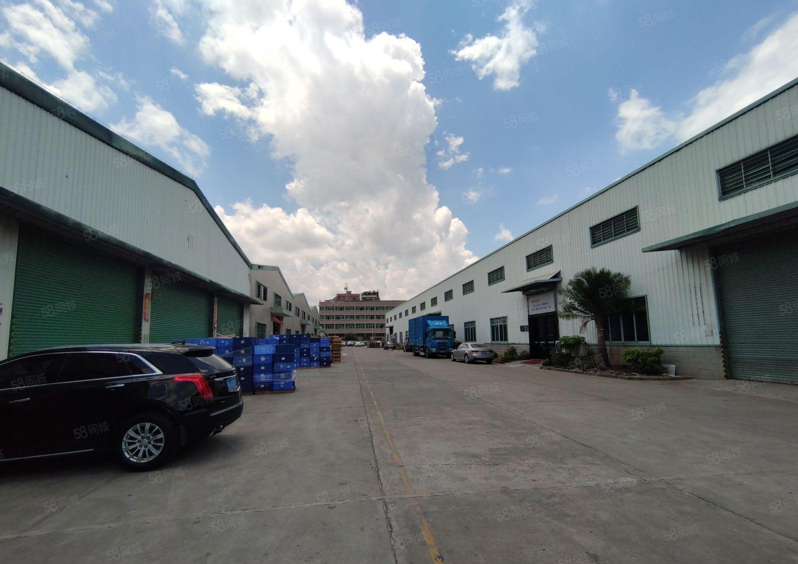 16元500平起租惠州镇隆20000平钢构厂房滴水9米高