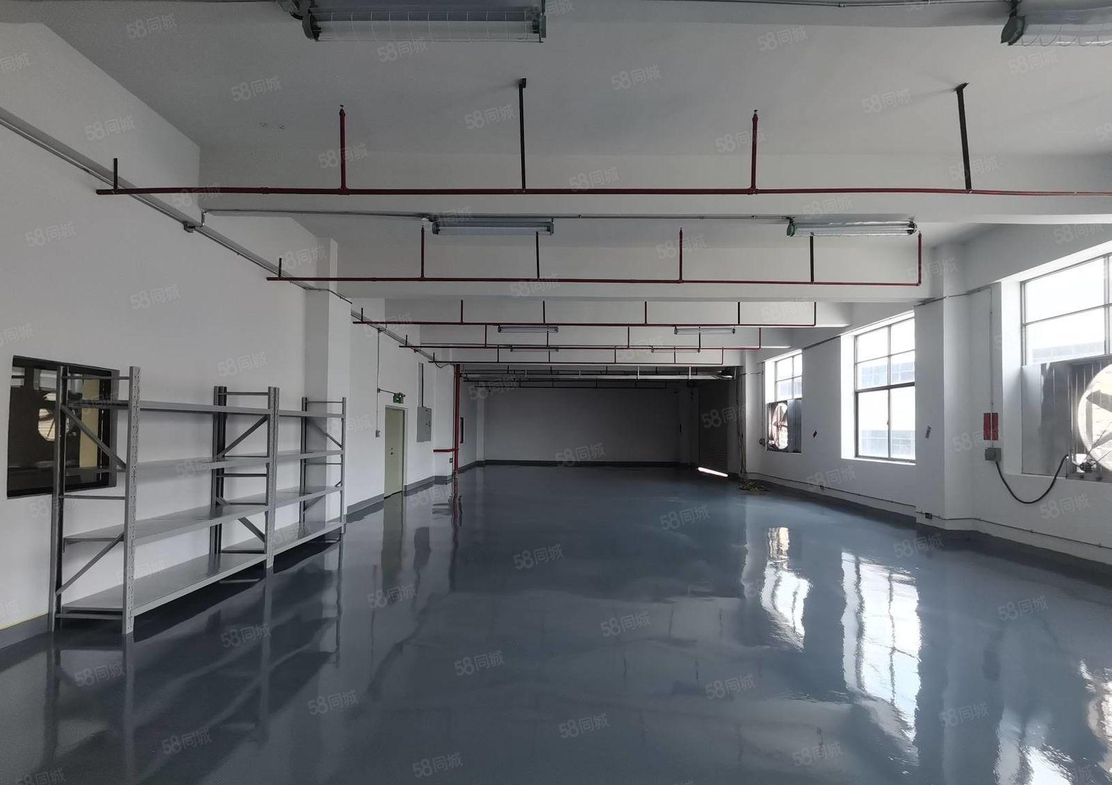 惠阳镇隆万里工业园原房东7万平带装修厂房出租可分租一楼6米高