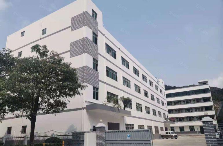 秋长白石村委独院新出二楼1200平带精装修办公室前台厂房出租