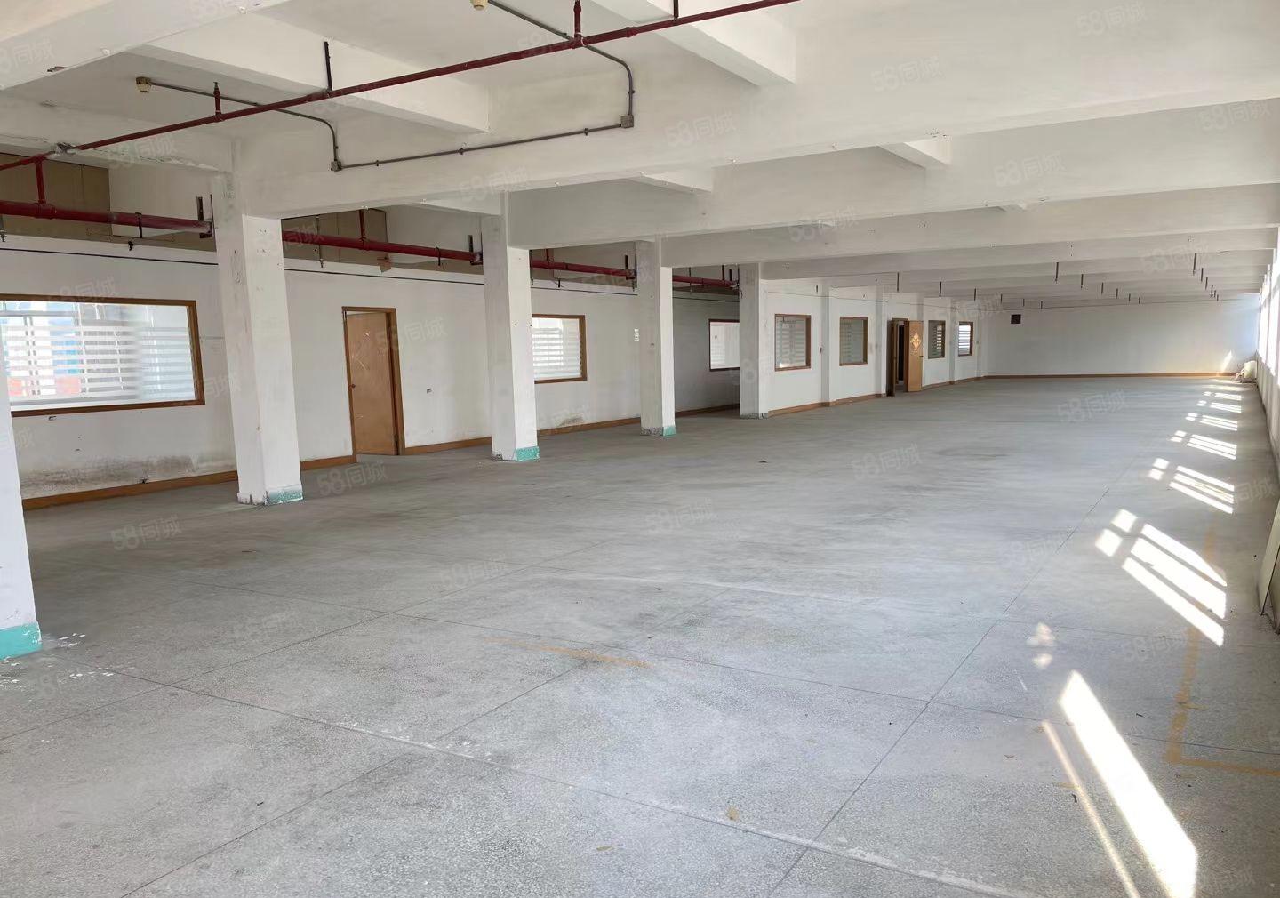 原房东红本厂房大小可分租