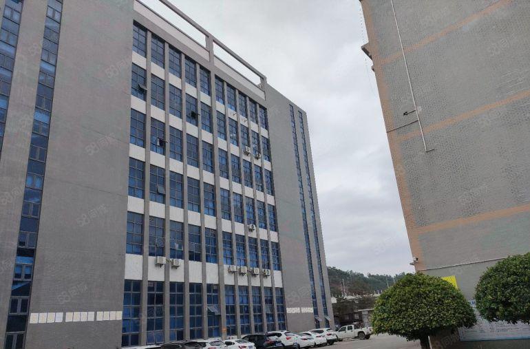 临深2公里惠阳新圩镇新联一楼1650平13块