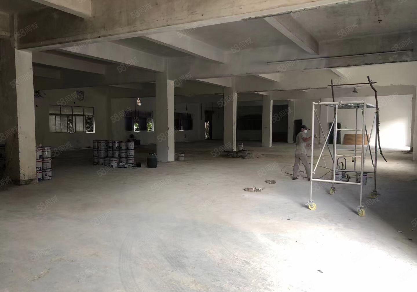 原房东独院标准厂房工业用地深圳交界处空地大环境优