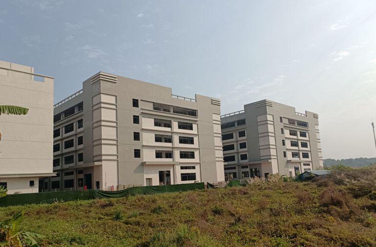 惠阳镇隆主干道边原房东红本独院标准厂房24430平方米招租