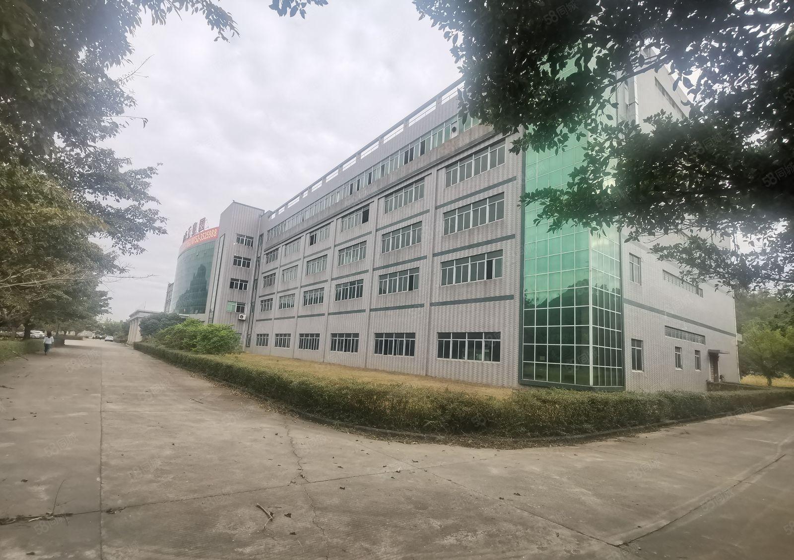 新圩花园式红本标准厂房四万平米出租，原房东无公摊，空地超大！