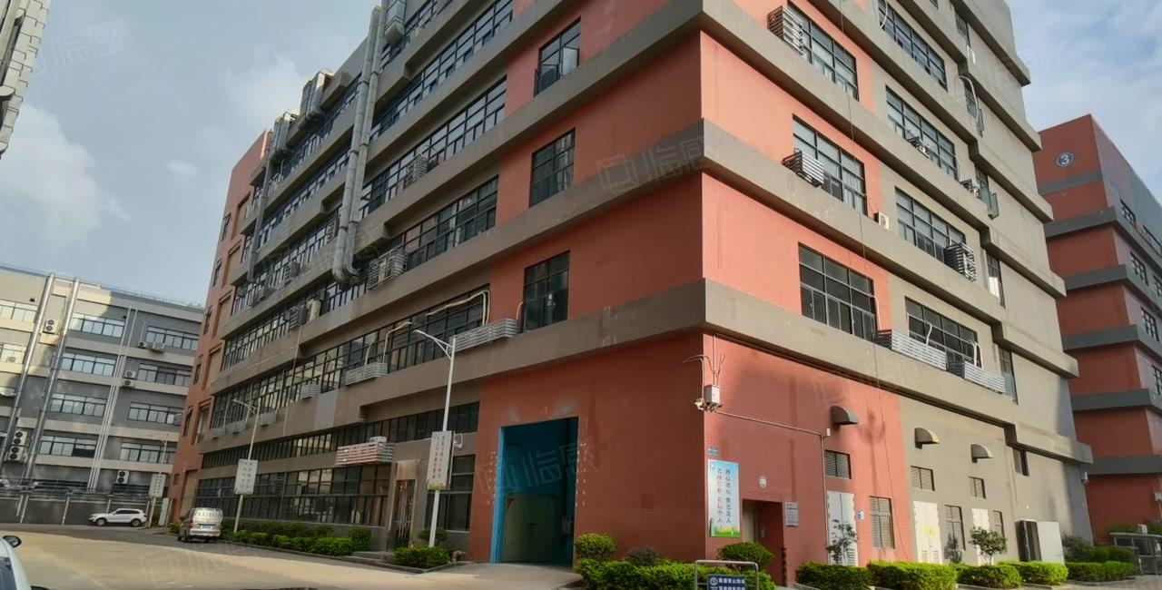 10元起租镇隆园区厂房豪华办公室装修1600平方空地大形象好