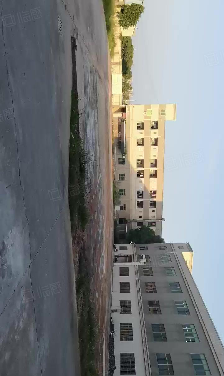 超大空地！秋长滴水8.6米钢结构厂房仓库低价出租3200平