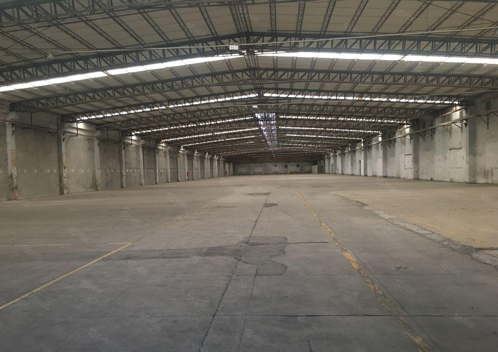 新墟创新工业区原房东7100平钢构仓库厂房出租可分租