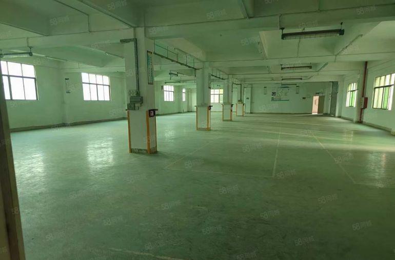 低价仓库厂房出租临深独院厂房出租大小分租15元一平方