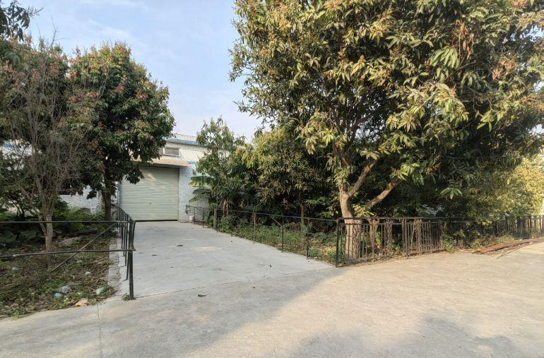 惠州市惠阳区淡水原房东独栋钢构厂房1300平方空地大形象好