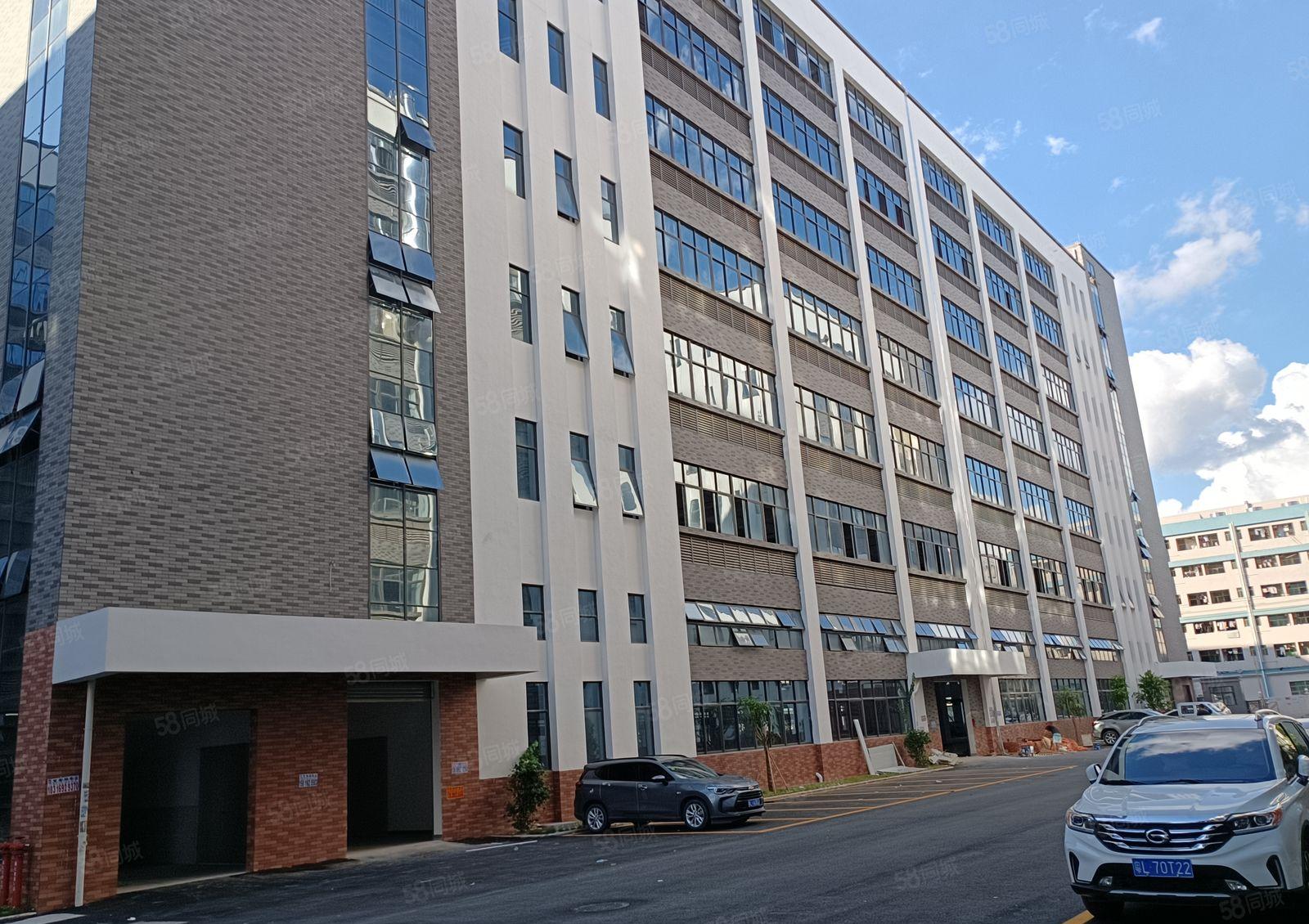 （已做雨污分流）镇隆甘陂原房东全新红本标准厂房35000平