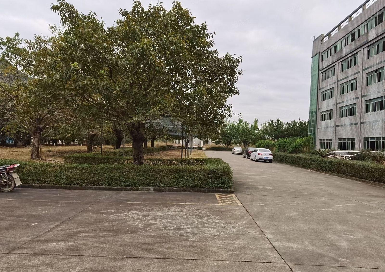 原房东红本独院占地60000厂房独栋五层30000平方证件齐