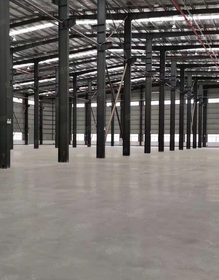 惠阳区秋长全新十米高钢构厂房面积10000平米出租