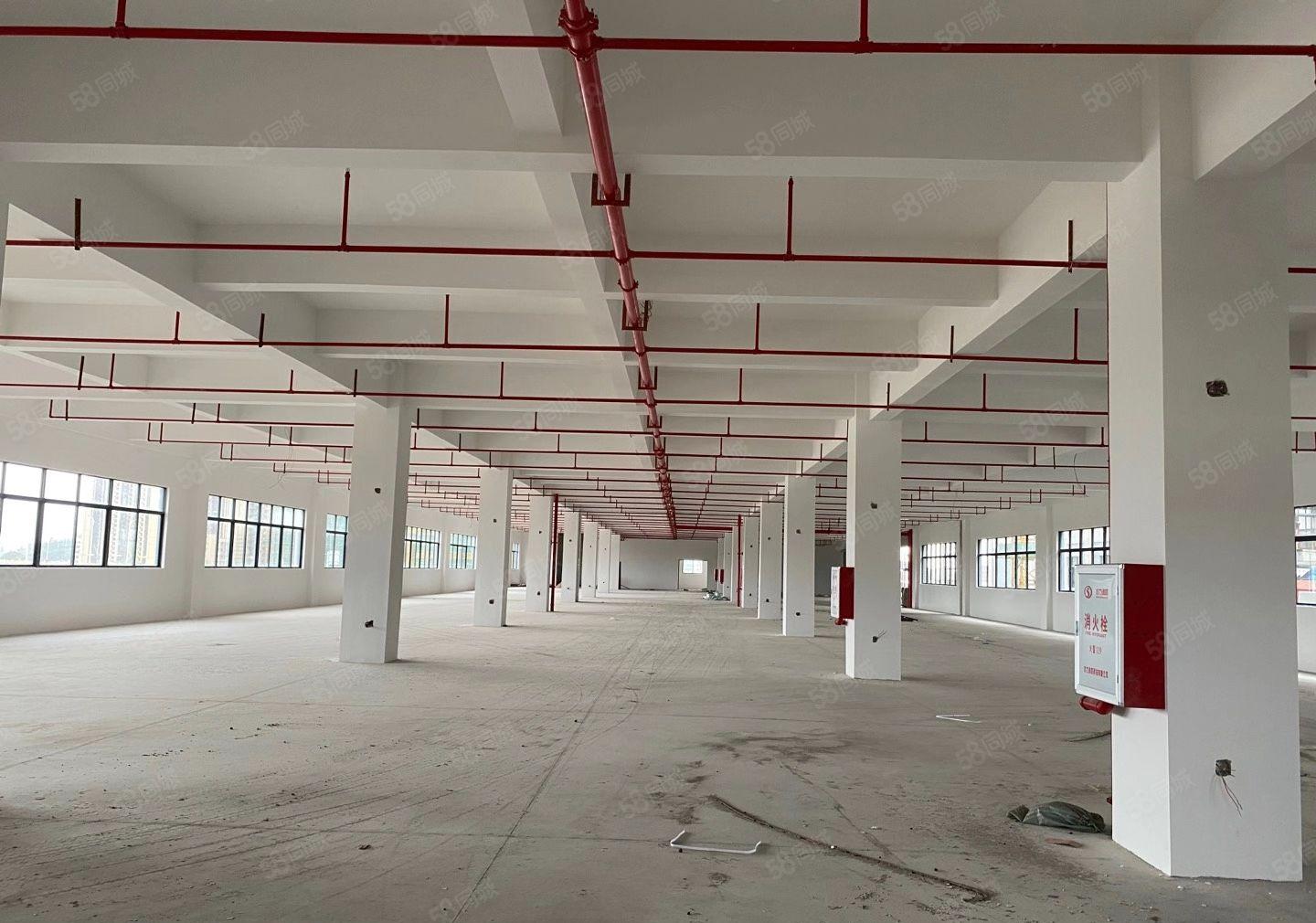 全新厂房出租，一二楼各2000平米（可分租）