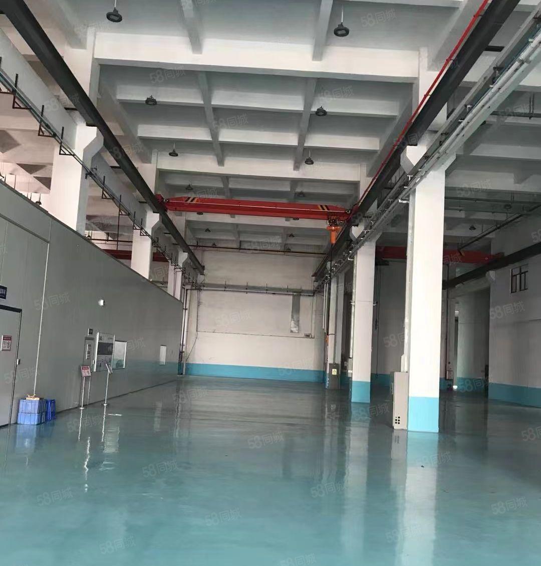 仲恺陈江新出原房东2层独栋厂房7180平一楼11米带现成行车