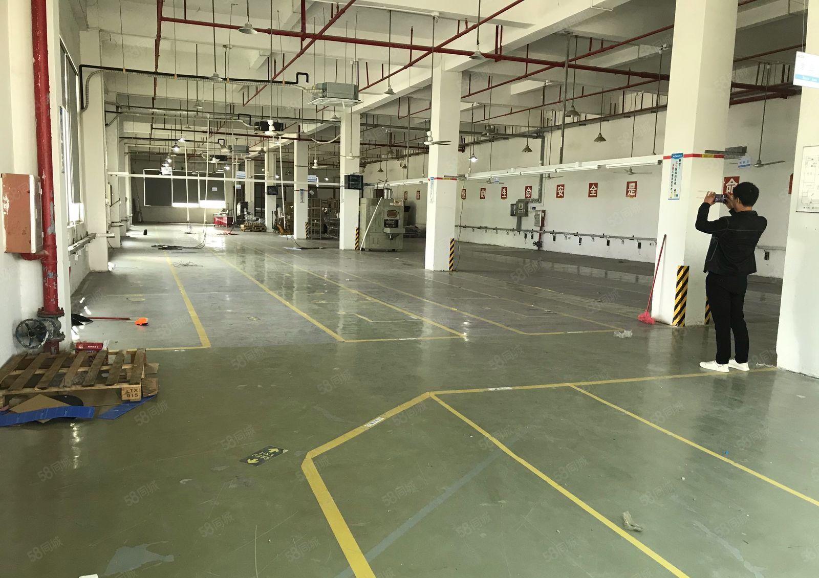 镇隆镇万里工业区新出小面积稀有厂房