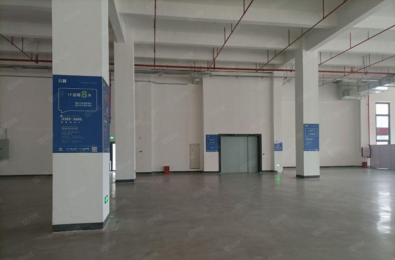 惠州南站附近1000平一楼8米高厂房全新装修出租