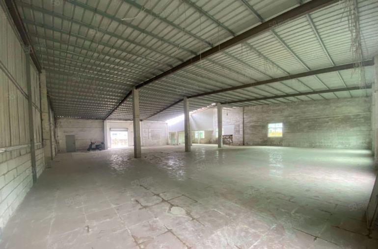 惠阳新圩650平原房东钢构厂房出租15元平月