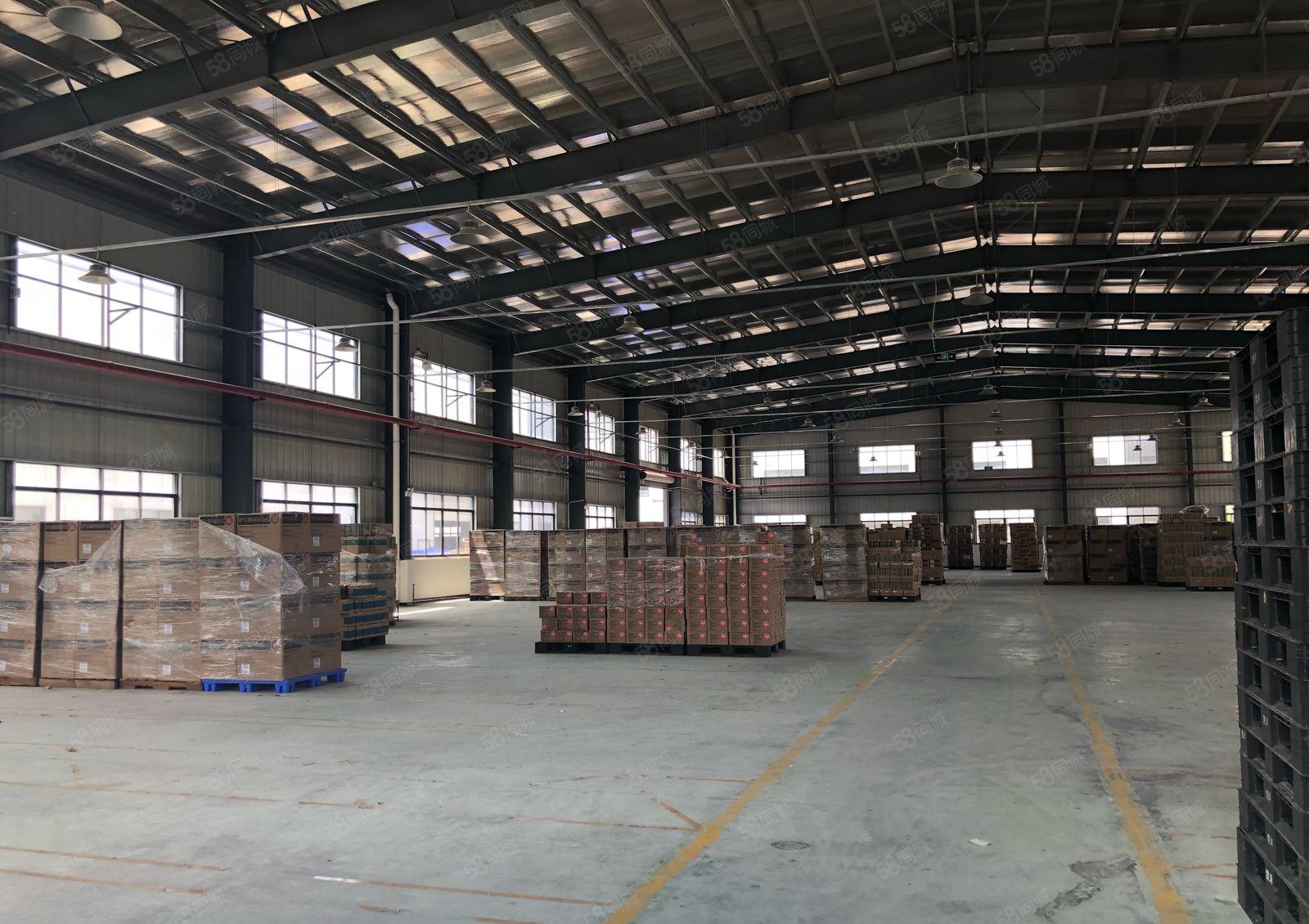 镇隆新出独门独院8000平米钢构厂房，滴水10米。