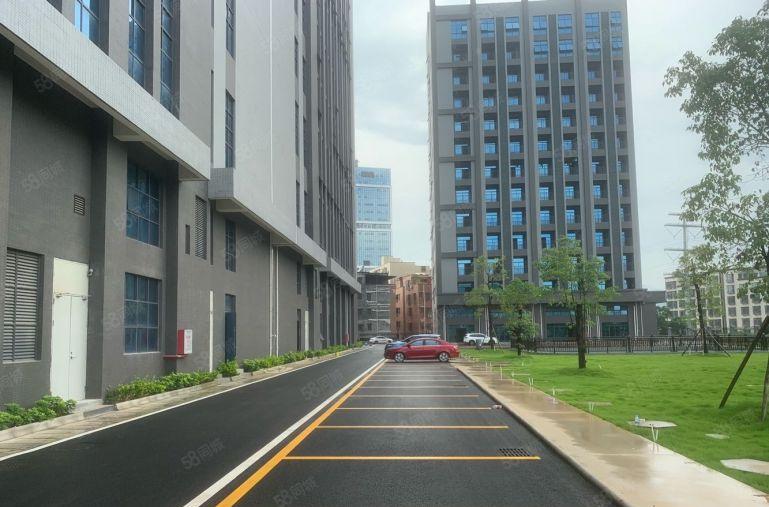 惠州秋长茶园开发商8块实际面积2000平起租一楼8米楼上6米