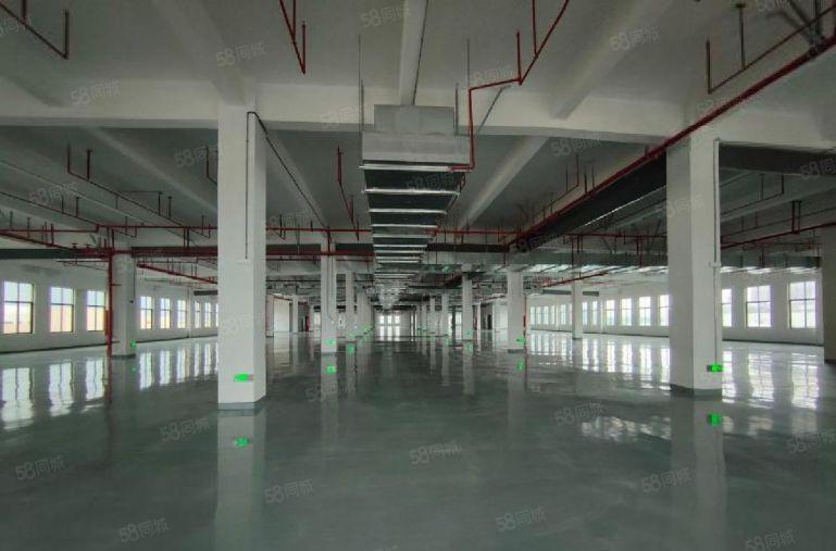 镇隆全新红本厂房仓库出租，可做独院，园区配套齐全，可分租。