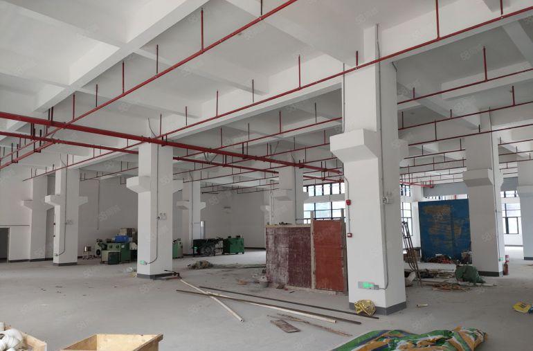 临深惠阳新圩镇全新厂房五万平单层1200平1800平10块起