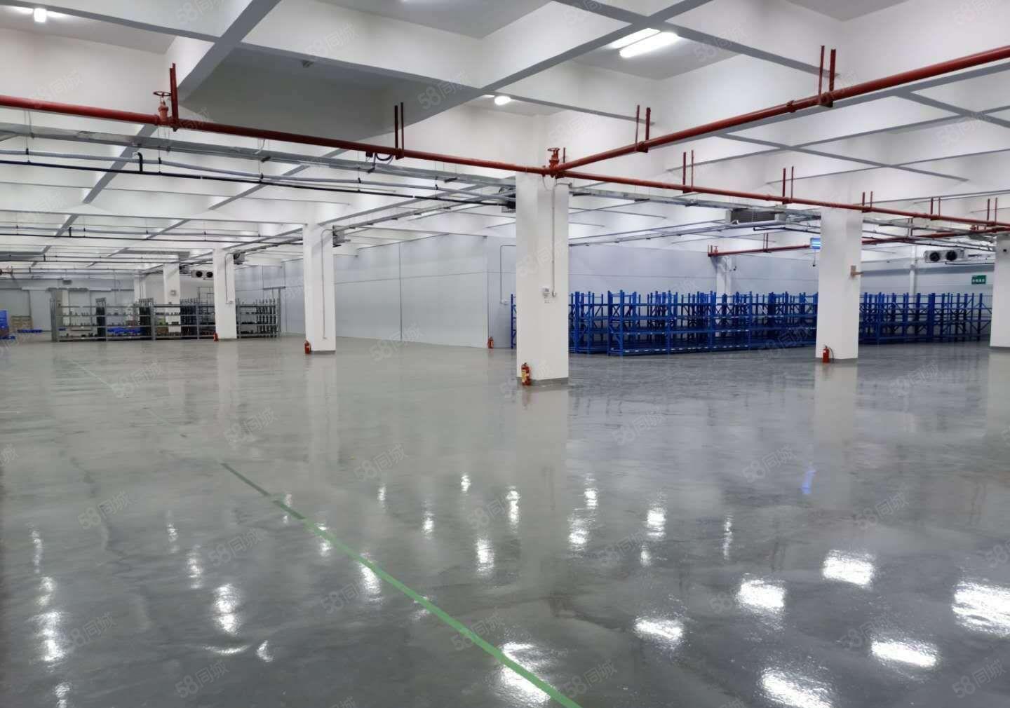 钜惠！镇隆新出标准厂房 机械加工智能制造聚集地 厂房仓库出租