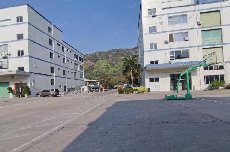 新圩南坑工业区新出楼上面整层积1000平厂房出租原房东无公摊