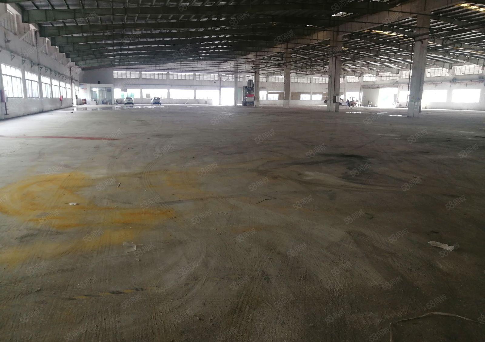 镇隆中仁工业园带红本标准厂房8000招租，可分租，层高9米