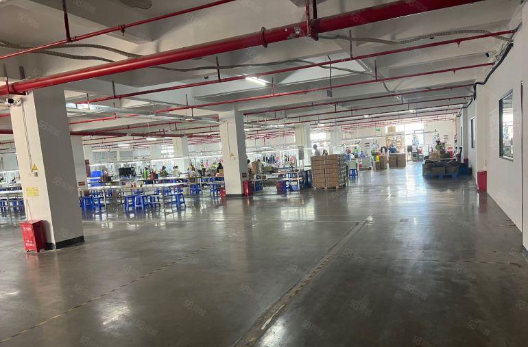 年前特价出租秋长新出厂房仓库出租现成装修隔好办公1000平