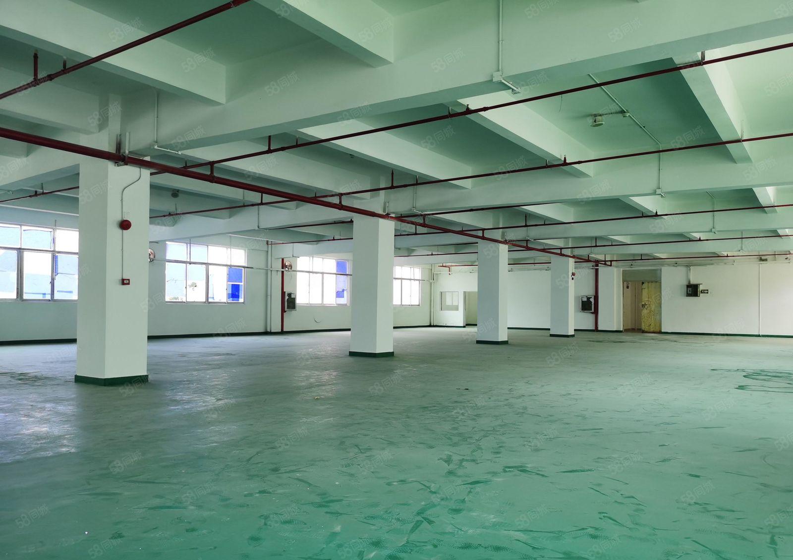 （新出）惠阳原房大型成熟工业园21500平米红本厂房 可分租