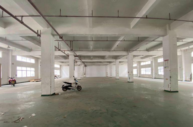 12元平新圩镇800平原房东一楼厂房成熟园区配套齐全