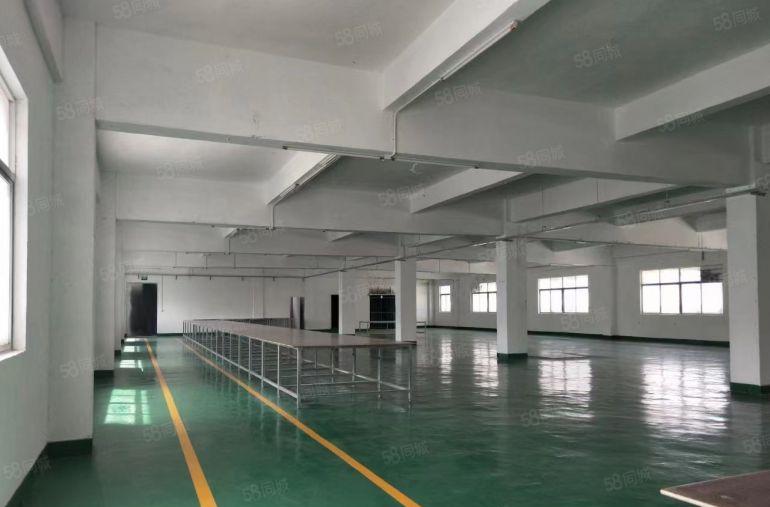 7元7元惠阳秋长原房东1200平米钢构出租实际面积