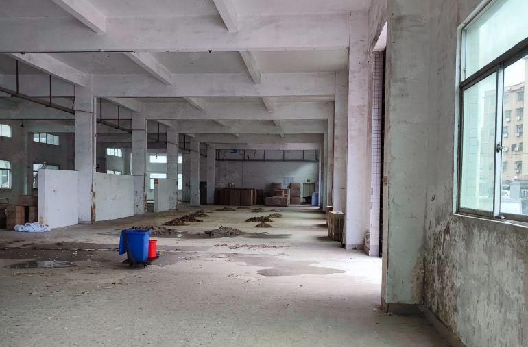 惠阳秋长临深原房东标准独院厂房