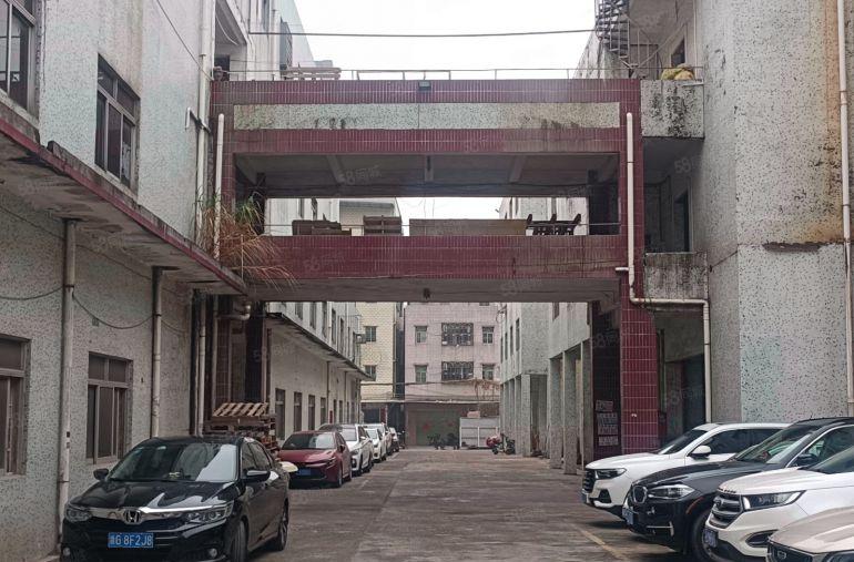 惠阳新圩花边岭新出原房东红本标准厂房800平方米出租