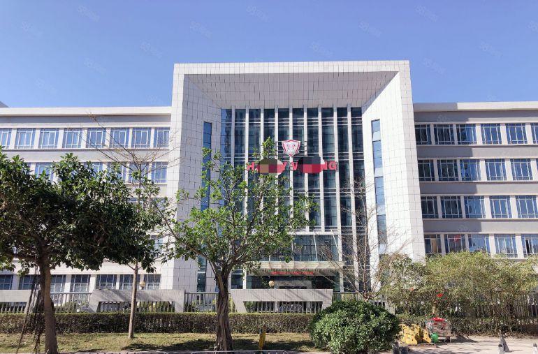 镇隆单价8块，带装修，主线到位，条件好谈，建筑面积出租