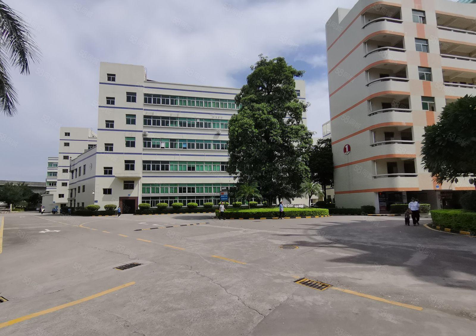 原房东厂房仓库出租证件齐全5百1千3千平起租惠阳沙田8万平