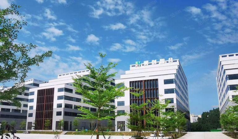 10元，10元，沙田工业区500平方起分租厂房低价出租