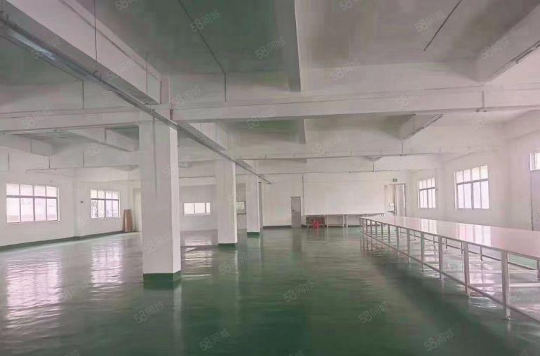 临深500米原房东标准二楼精装修厂房招租11元平