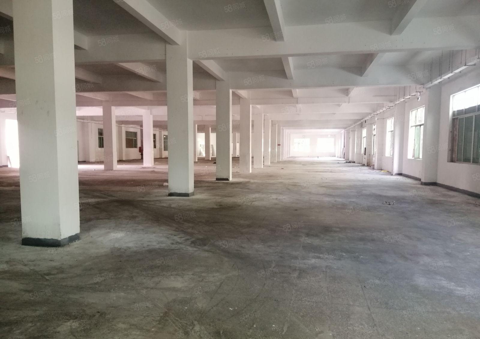 惠阳区三和经济开发区独门独院标准厂房13800平方空地6千平