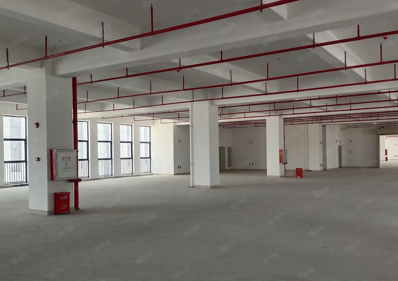 惠阳秋长可办环评标准厂房 家具厂房五金厂房制造业厂房招租