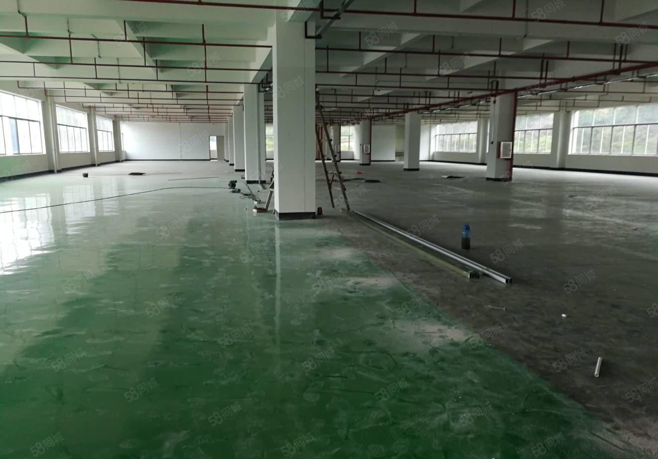 惠阳区沙田高速出口独院标准厂房10000平米出租