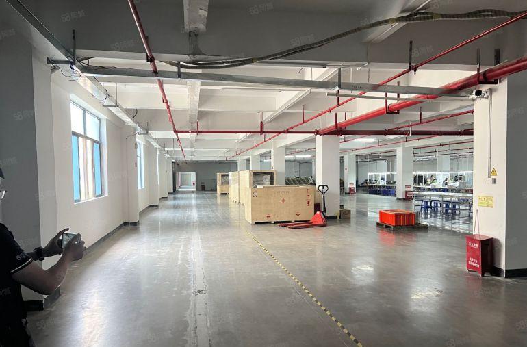 年前特价出租秋长新出厂房仓库出租现成装修隔好办公1000平