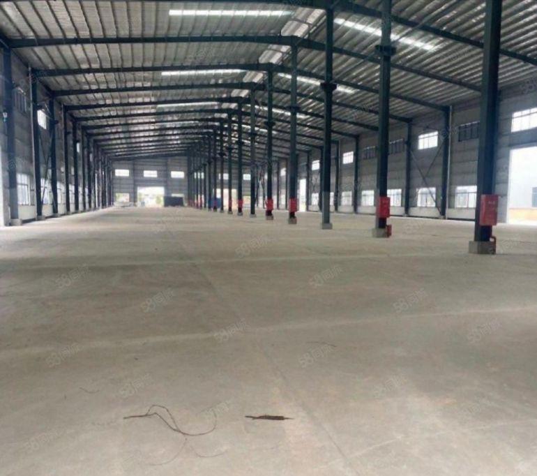 5000平高度12米，12元，原房东厂房仓库出租，高使用率