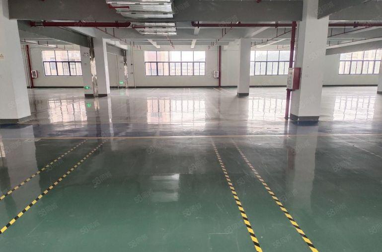 8元带装修！惠阳镇隆靠近沥林原房东厂房楼2000平方低价出租