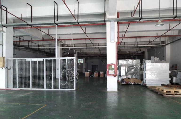 镇隆一楼1000平1800平实量面积 原房东厂房出租 可分租