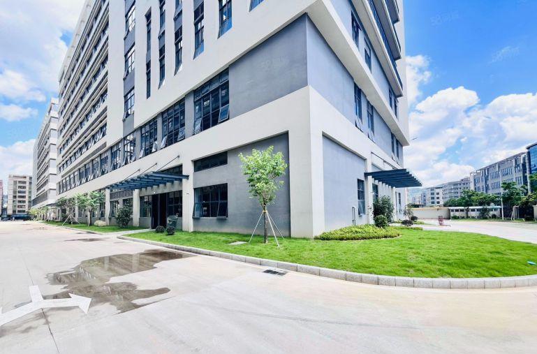 6块租新圩长布原房东18000平全新红本独院厂房