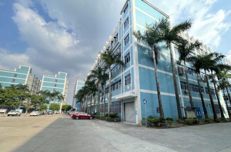 白石大湖工业区新出楼上2000平现成装修仓库厂房低价出租