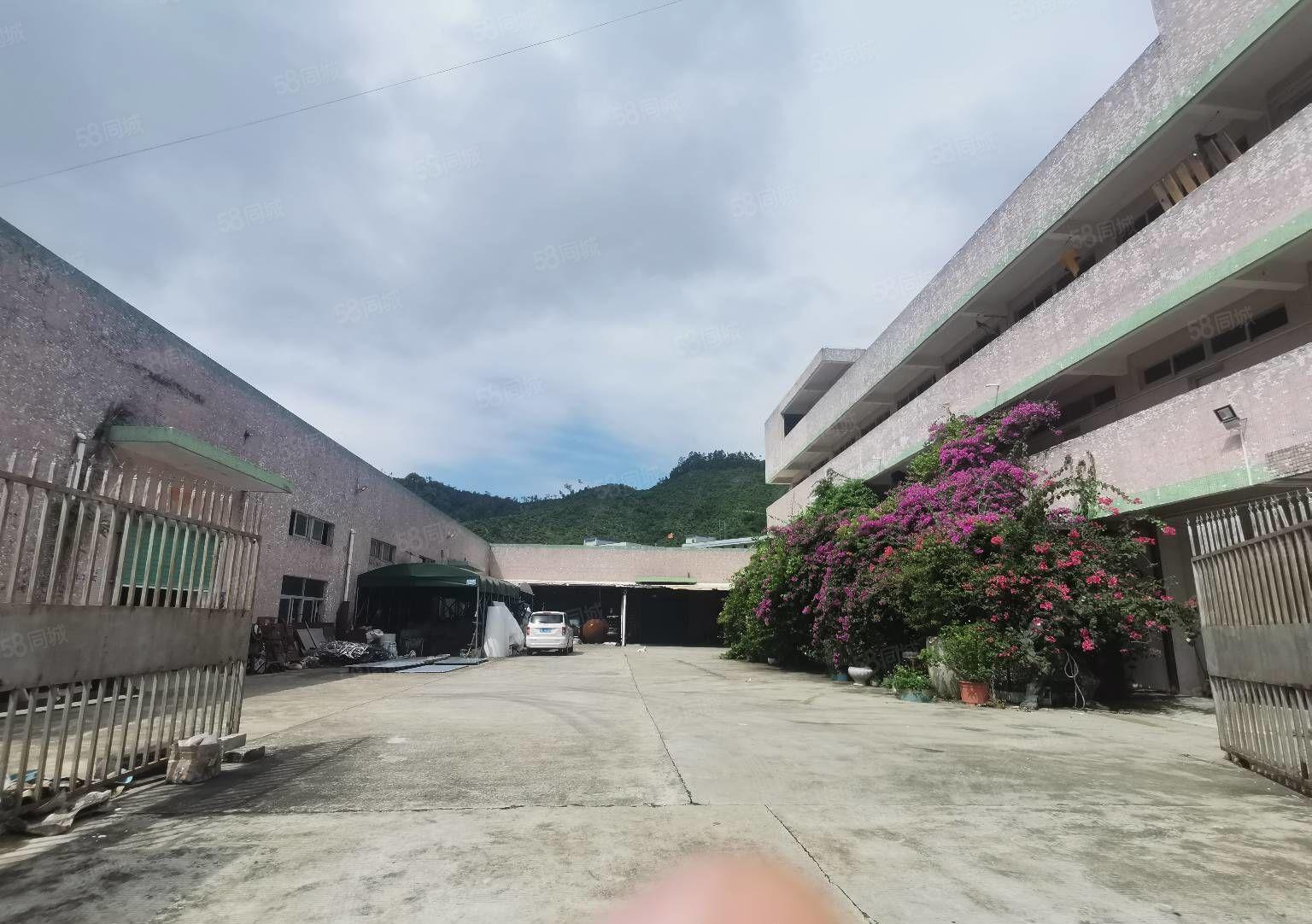 （独院1800平）约场附近原房东出租1800平带超大空地