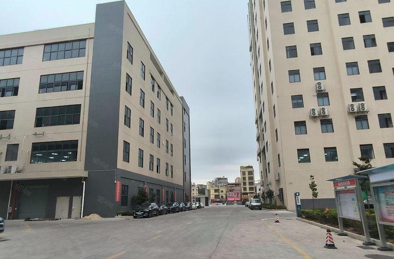 8 元低价！单层 3000 平惠阳镇隆原房东独栋标准厂房出租